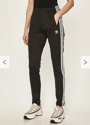 Спортивные штаны adidas