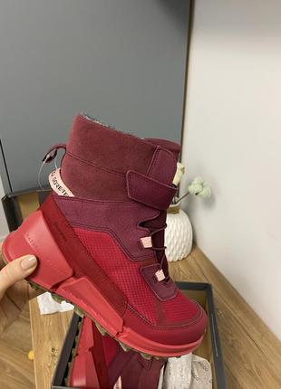 Зимние оригинальные сапоги ecco Toe k2 с мембраной gore-tex5 фото