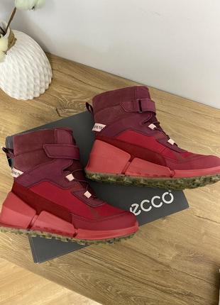 Зимние оригинальные сапоги ecco Toe k2 с мембраной gore-tex4 фото