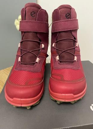 Зимние оригинальные сапоги ecco biom k2 с мембраной gore-tex
