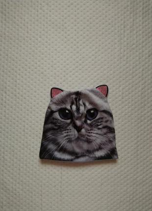 Шапка котик