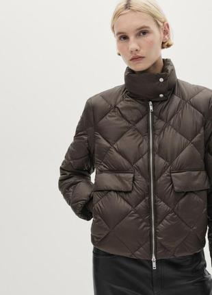 Куртка  massimo dutti6 фото