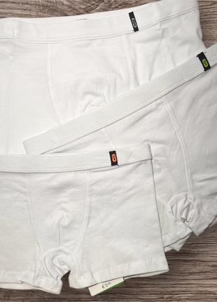 Боксери на хлопчика ovs