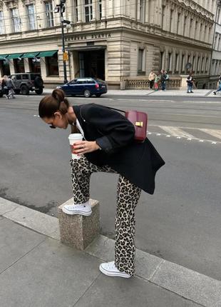 Леопардовые брюки zara 5