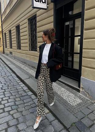 Леопардовые брюки zara 8