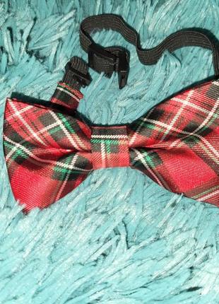 Галстук-бабочка на 2-8 лет