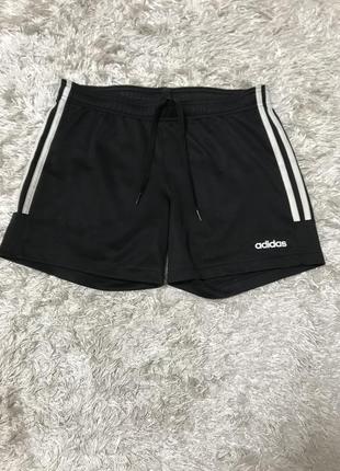 Чоловічі шорти adidas