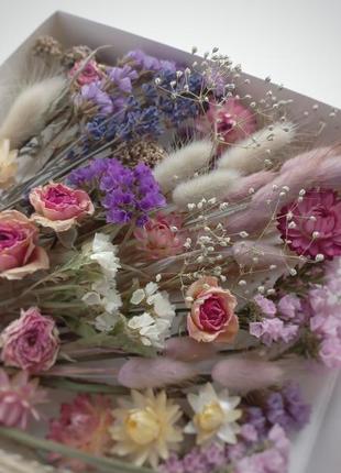 Сушеницы для декора.