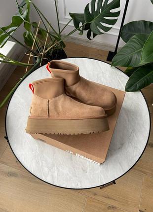 Зимние женские ботинки ugg classic mini dipper chestnut