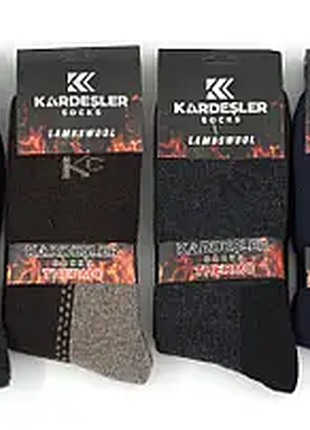Чоловічі термошкарпетки kardesler