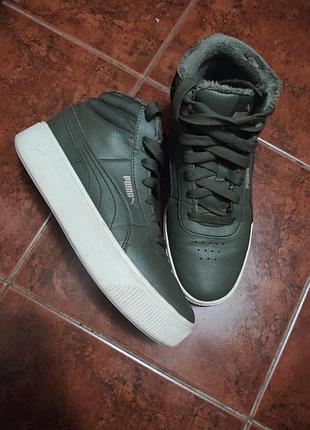 Хайтопи puma