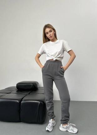 Жіночі теплі джогери спортивні штани тринитка на флісі