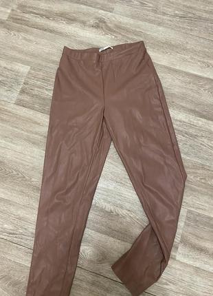 Штани,лосіни