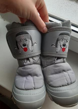 Зимние сапожки demar