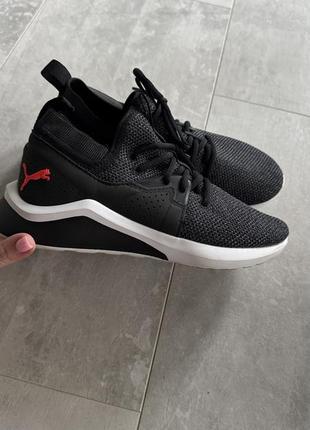 Оригінальні кросівки puma