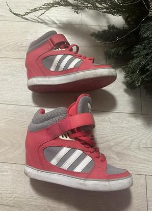 Сникеры кроссовки от бренда adidas