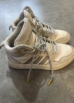 Кросівки adidas