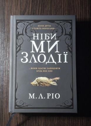 Ніби ми злодії