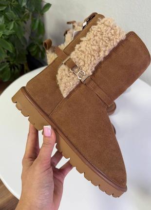 Распродажа!!! сапожки от zara, натуральной замш, 38 и 39