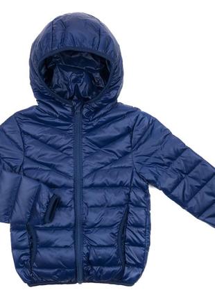 Ультратонкая демисезонная пуховая куртка kurt