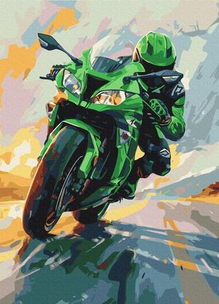 Картина за номерами зелена швидкість bs54126