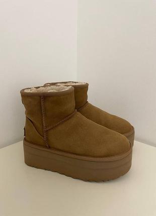 Угги ugg