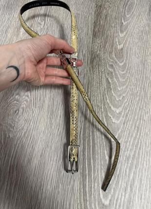 Ремінь дефект вузький пояс рептилія