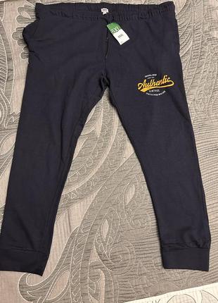 Штани спортивні великий розмір