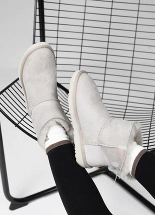 Розпродаж! mini bailey bow ii light grey