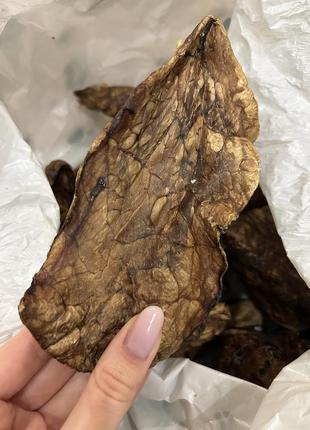 Лакомство для собак сушеные говяжьи легкие