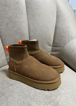 Ugg dipper