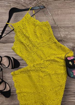 Zara сукня мереживна сукня кружевное платье