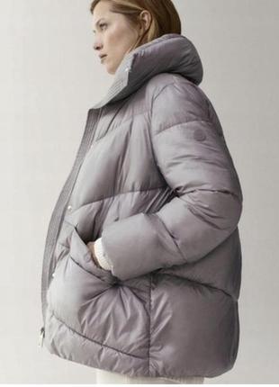 Куртка massimo dutti