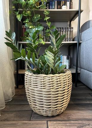 Кашпо изо ротанга
