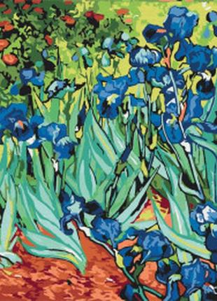 Картина за номерами іриси. ван гог