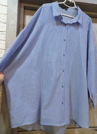 Стильная, красивая, новая, свободная, оверсайз, рубашка в полоску, большой размер, батал, бело-синяя