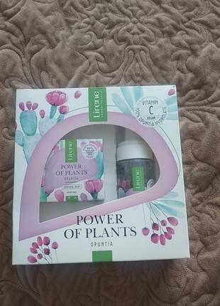 Lirene power of plants opuntia подарочный набор крем для лица разглаживающий и пенка для умывания лица