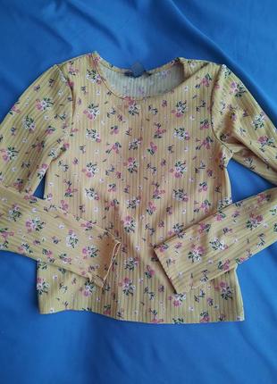 Блузка/акция!!! 1+1=3 (самая дешевая вещь идет в подарок)