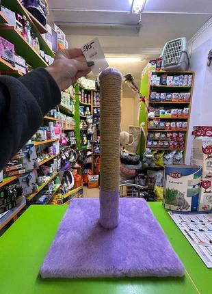 Кігтеточка