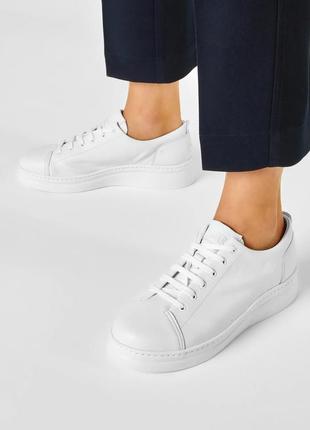 Шкіряні кеди Sale 🔥 шкіряні кеди camper