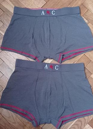 Чоловічі бріфи,труси чоловічі