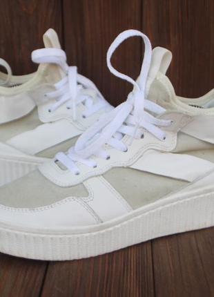 Кеди кросівки h&m шкіря 37р кеды кроссовки