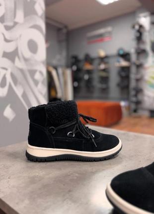 Черевики ugg 2