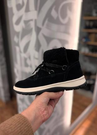 Черевики ugg 4