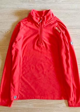 Фліска regatta