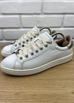 Оригінальні шкіряні кеди ugg