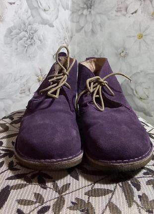 Анатомические дезерты