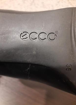 Жіночі туфлі на невеликому підборі eco5 фото