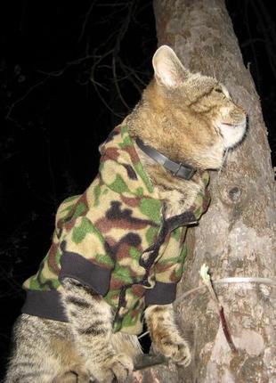 Одежда для кота, собаки худи камуфляж