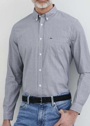 Рубашка lacoste оригинал